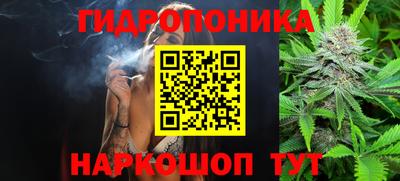 винт Обь