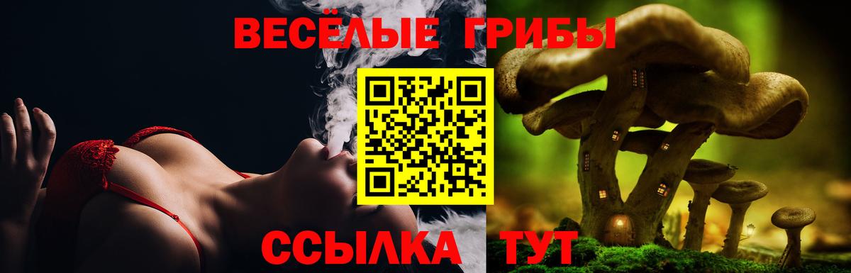 Псилоцибиновые грибы мицелий  как найти закладки  Тулун  Вход с VPN 