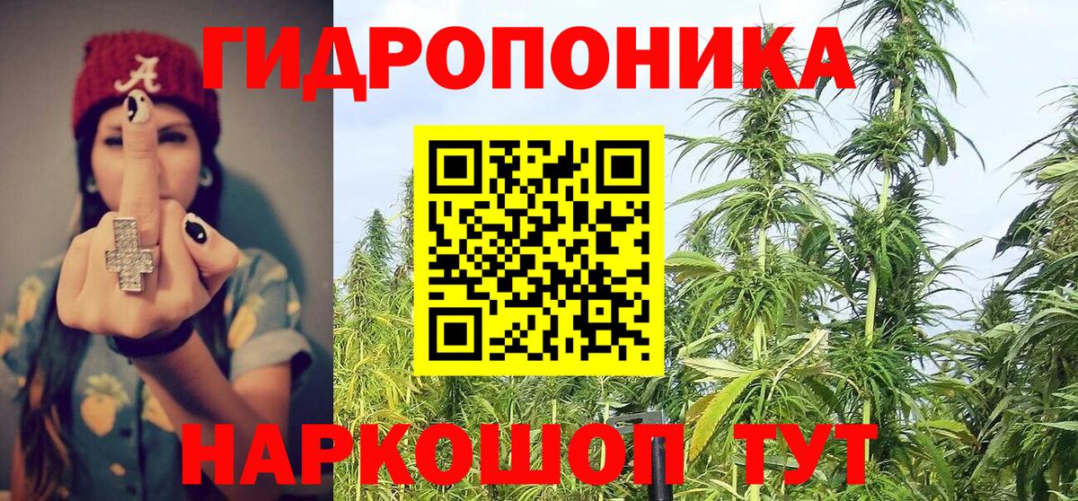 Тулун  МАРИХУАНА конопля  Марихуана план  Канабис LSD WEED  Вход с VPN 